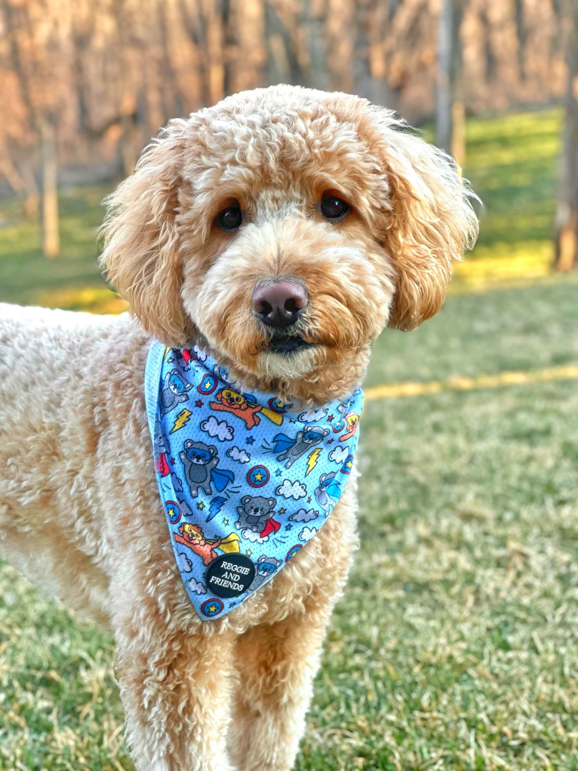 Bandana for Dogs, Dog Accessories - Reggie and Friends