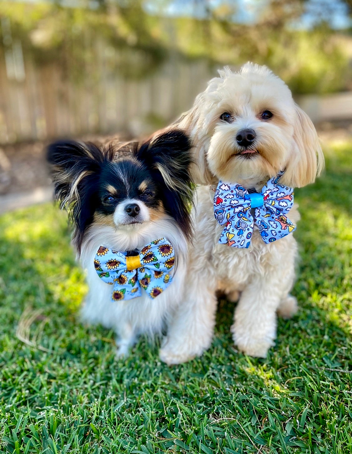 Bow Tie for dogs Sailor Bow Fun Bee Design One Size Reggie and Friends