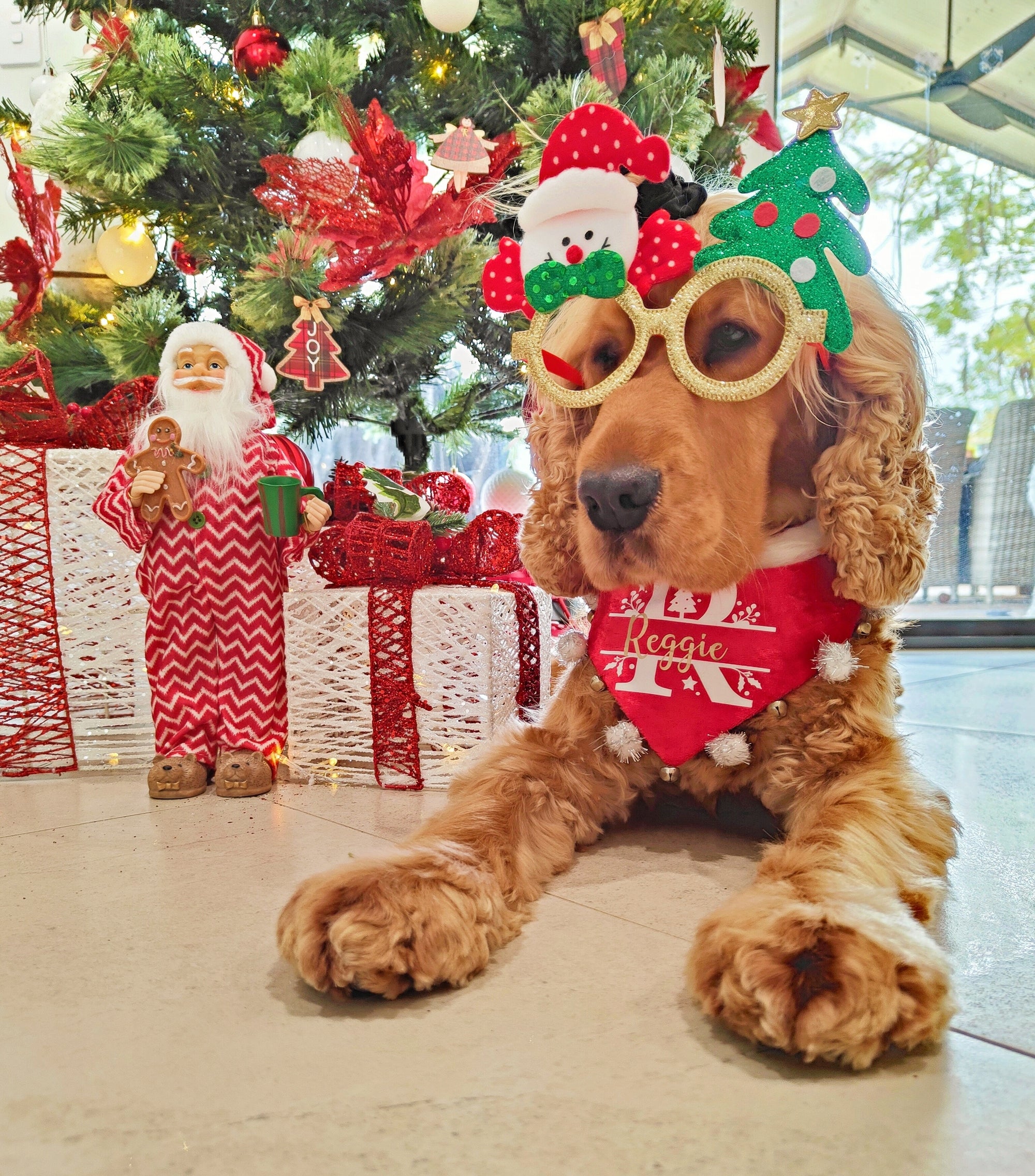 Christmas Novelty Tree Dog Glasses - Fashion fun - Reggie and Friends