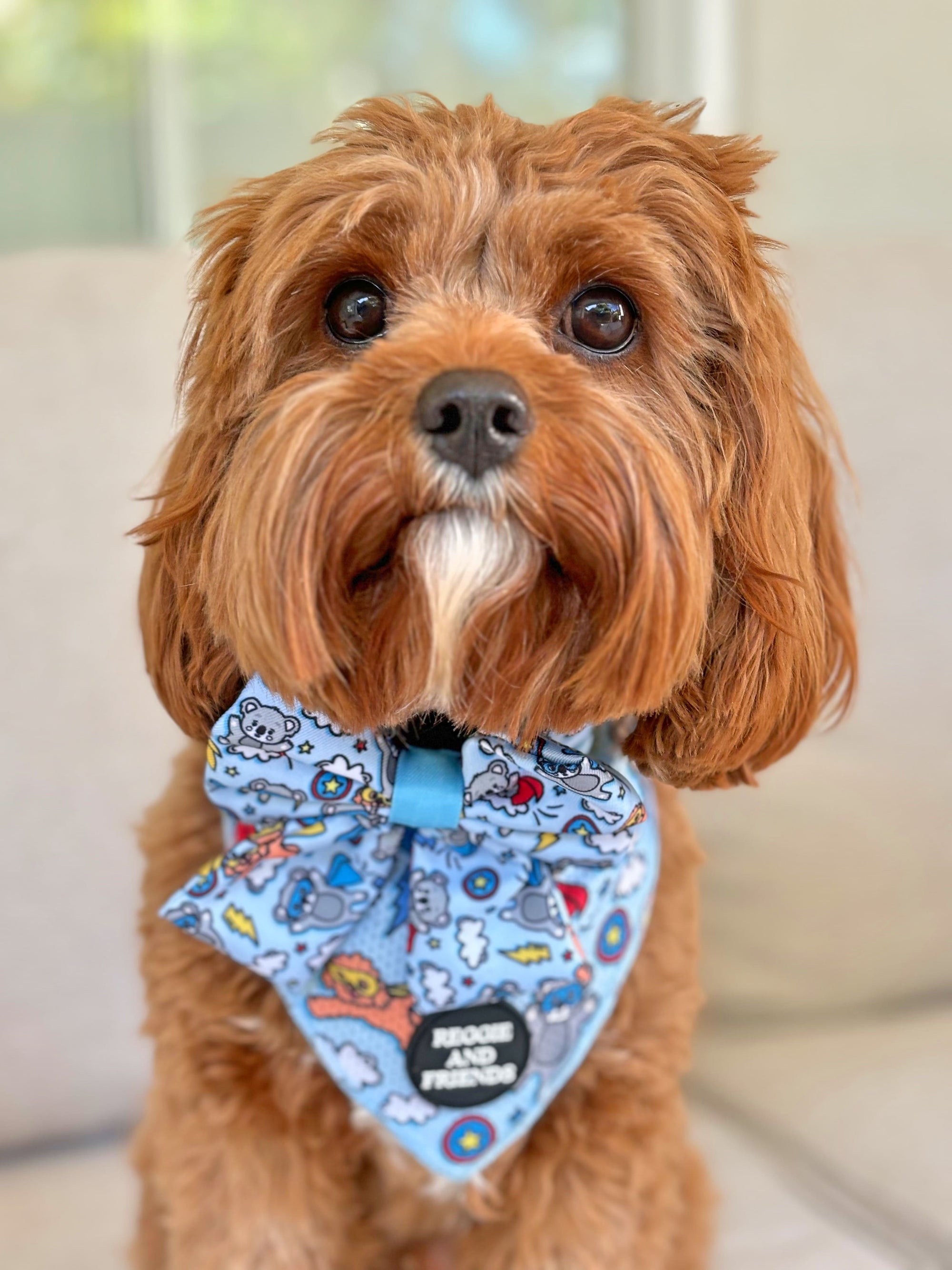 Dog Bandana for sale - Reggie and Friends