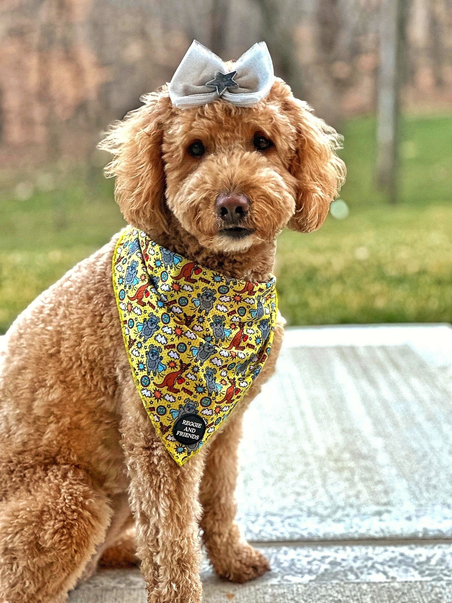 XL Large dog bandana scarf for dogs Australia Reggie and Friends