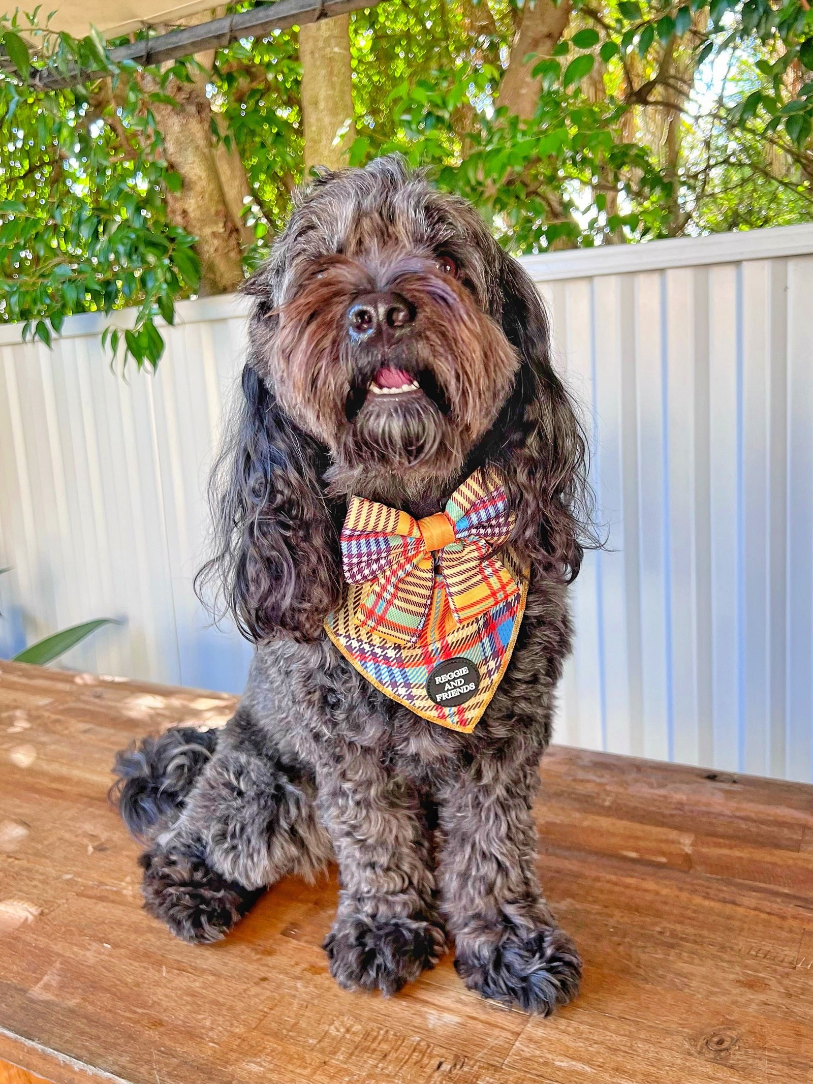 Yellow Tartan Pet Bandana Adjustable Neck Tie Shop Now Reggie and Friends