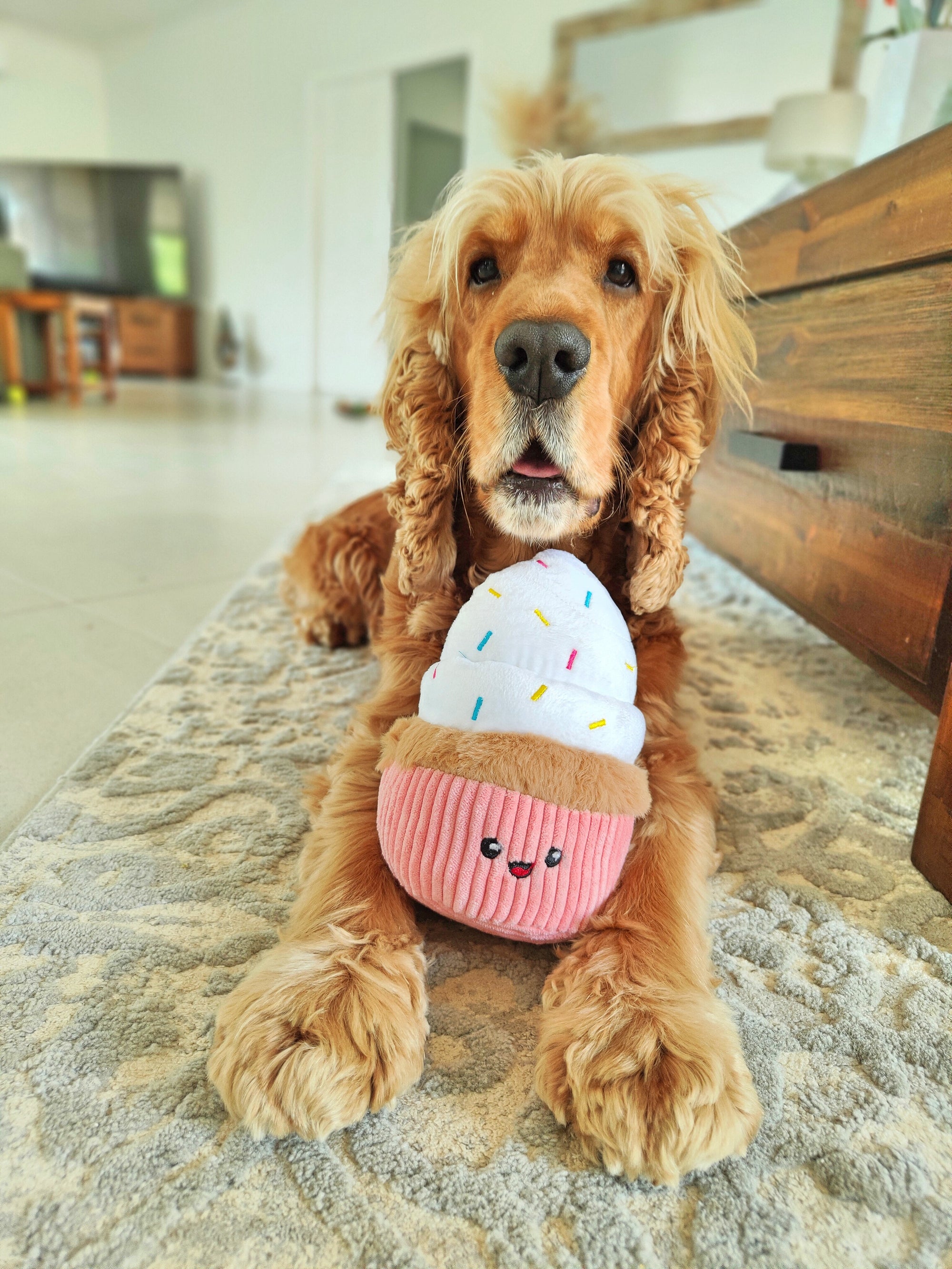 Pink cupcake birthday Dog enrichment toy - Reggie and Friends