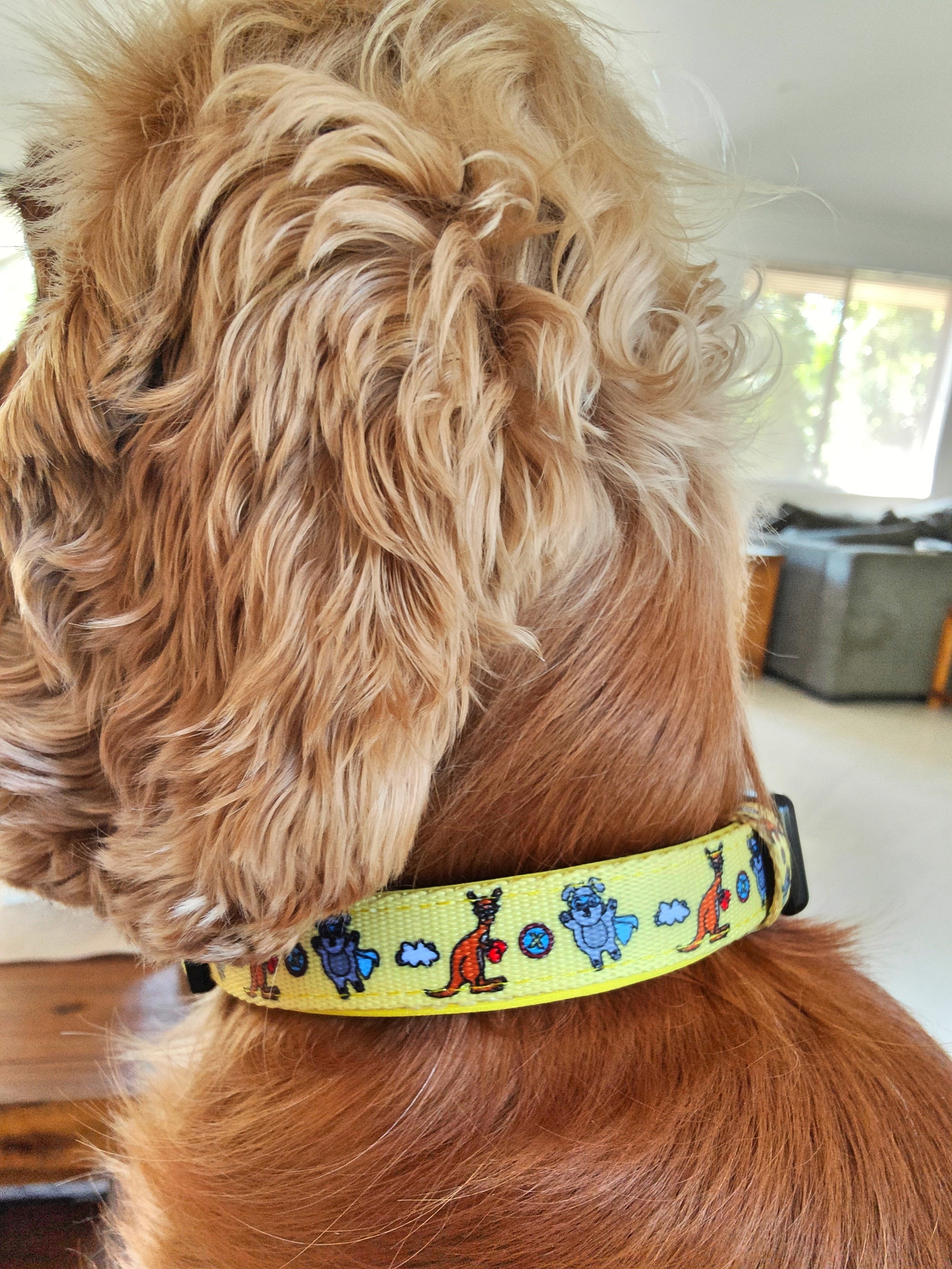 Yellow Premium Dog Collar Australia Reggie and Friends