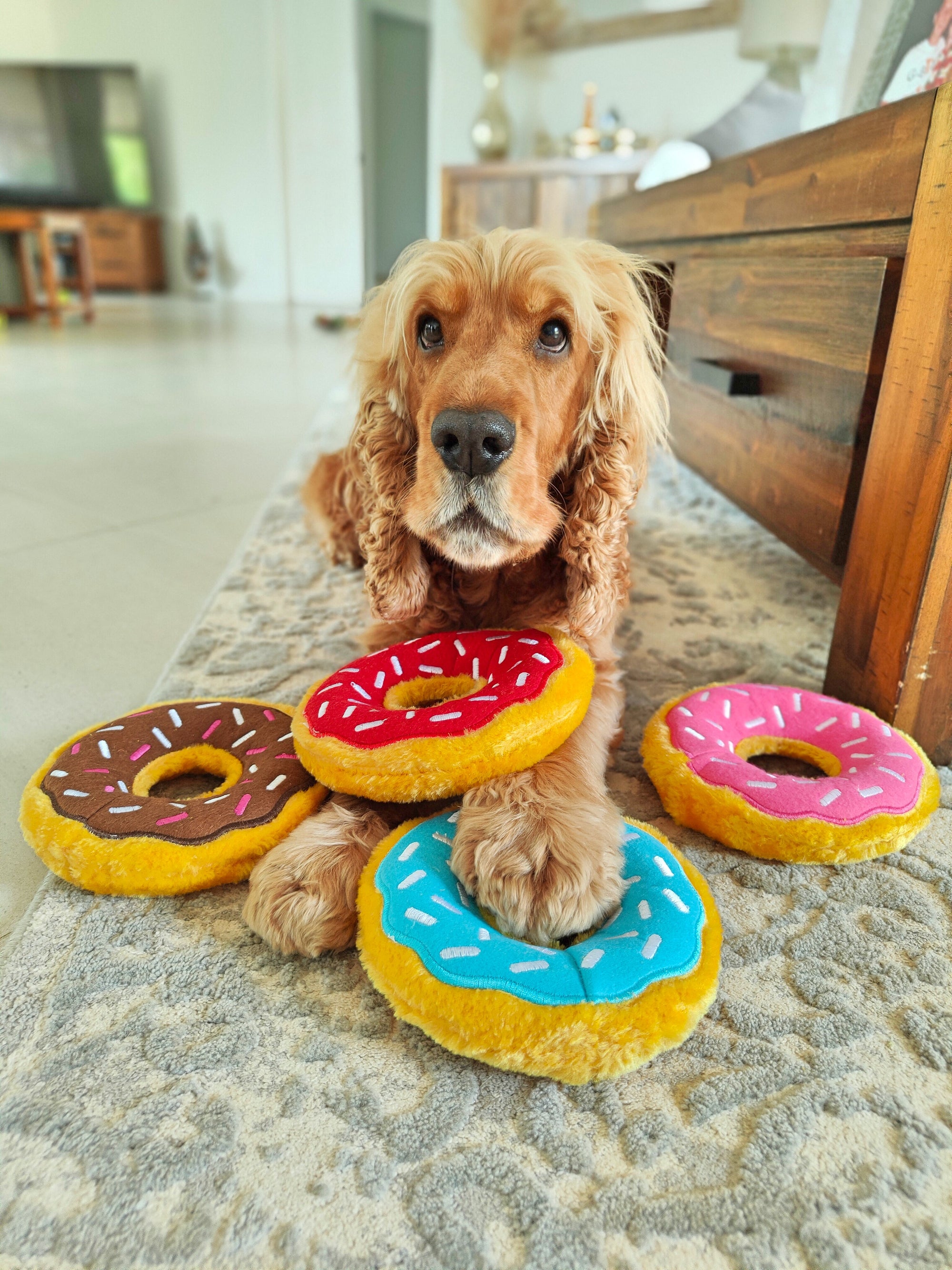 Donut plush squeaky toy with sprinkles - Reggie and Friends